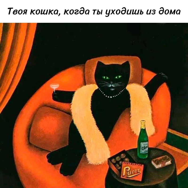 Твоя кошка когда ты уходишь из дома