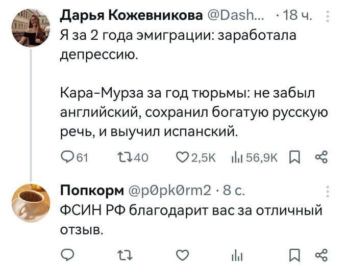 дарья Кожевникова Вазім 18 ч Я за 2 года эмиграции заработала депрессию КараМурза за год тюрьмы не забыл английский сохранил богатую русскую речь и выучил испанский 051 1140 025К цзбзк П Попкорн рИрКФтШ 8 с ФСИН РФ благодарит вас за отличный отзыв О П О и П