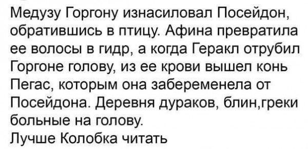 Медузу Горгону изнасиловал Посейдон обратившись в птицу Афина превратила ее волосы в гидр а когда Геракл отрубил Горгоне голову из ее крови вышел конь Пегас которым она забеременела от Посейдона Деревня дураков блингреки больные на голову Лучше Колобка читать