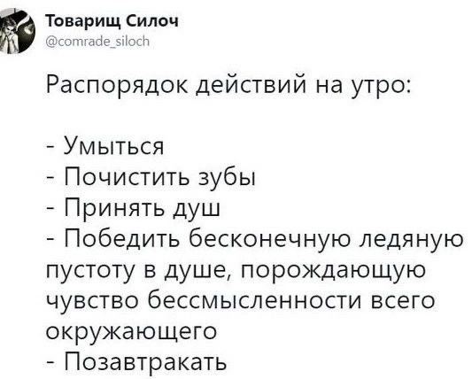 Твари Силоч Распорядок действий на утро Умыться Почистить зубы Принять душ Победить бесконечную ледяную пустоту в душе порождающую чувство бессмысленности всего окружающего Позавтракать