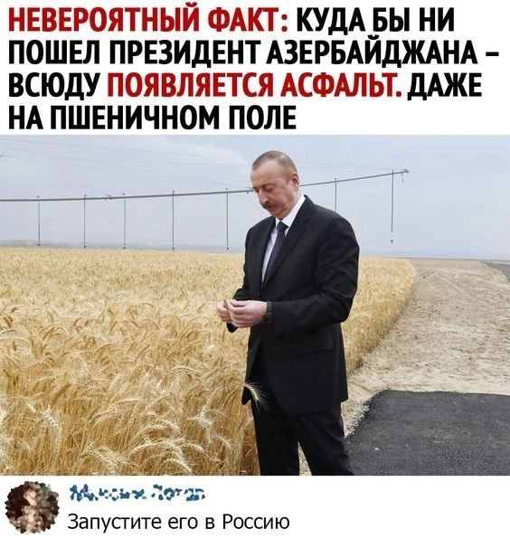 НЕВЕРОЯТНЫЙ ФАКТ КУДА БЫ НИ ПОШЕЛ ПРЕЗИДЕНТ АЗЕРБАЙДЖАНА ВСЮДУ ПОЯ Ы НА ПШЕНИЧНОМ ПОЛЕ Муклы Запустите его в Россию