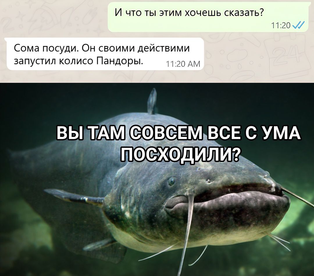 И что ты этим хочешь сказать 1204 осуди Он своими действими запустил колисо Пандоры