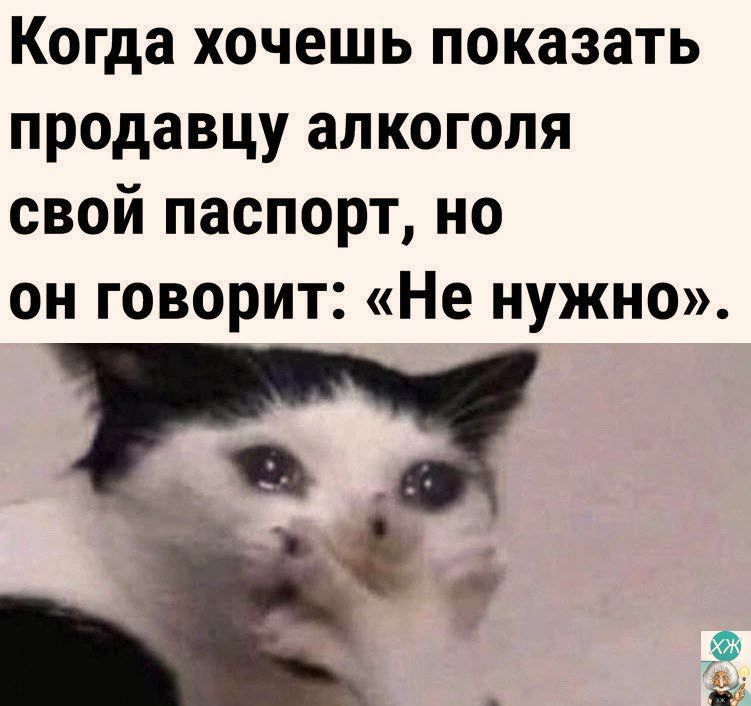 Когда хочешь показать продавцу алкоголя свой паспорт но он говорит Не нужно т Ч