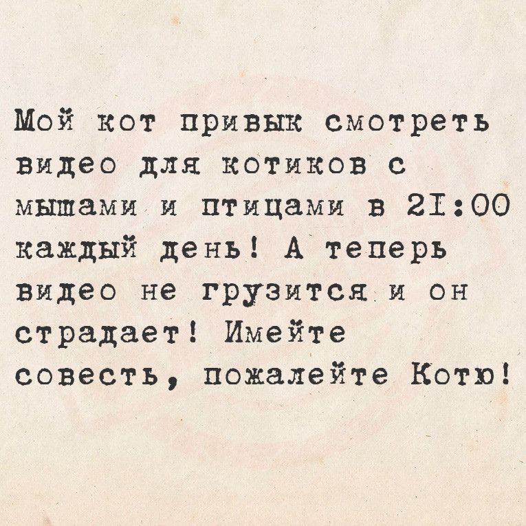 Мой кот привык смотреть видео для котиков с мышами и птицами в 2Т00 каждый день А теперь видео не грузится и он страдает Имейте совесть пожалейте Котю