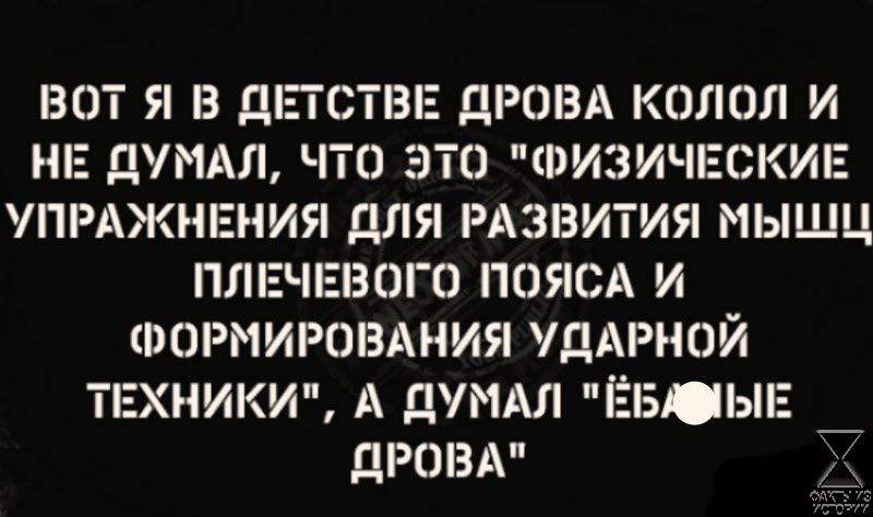 ВОТ Я В ДЕТСТВЕ ДРОВА КОЛОЛ И НЕ ДУМАЛ ЧТО ЭТО ФИЗИЧЕСКИЕ УПРАЖНЕНИЯ ДЛЯ РАЗВИТИЯ МЫШЦ ПЛЕЧЕВОГО ПОЯСА И ФОРМИРОВАНИЯ УДАРНОЙ ТЕХНИКИ А ДУМАЛ ЁБАЫЕ _ ДРОВА Х