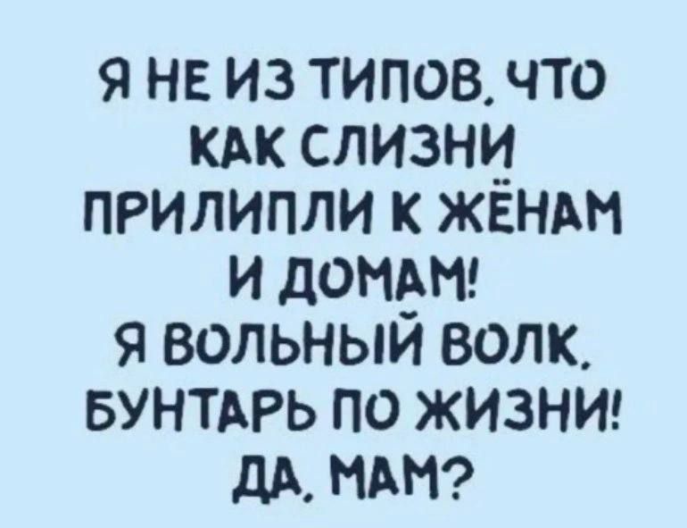 Я НЕ ИЗ ТИПОВ ЧТО КАК СЛИЗНИ ПРИЛИПЛИ К ЖЁНАМ И ДОМАМ Я ВОЛЬНЫЙ ВОЛК БУНТАРЬ ПО ЖИЗНИ ДА МАМ