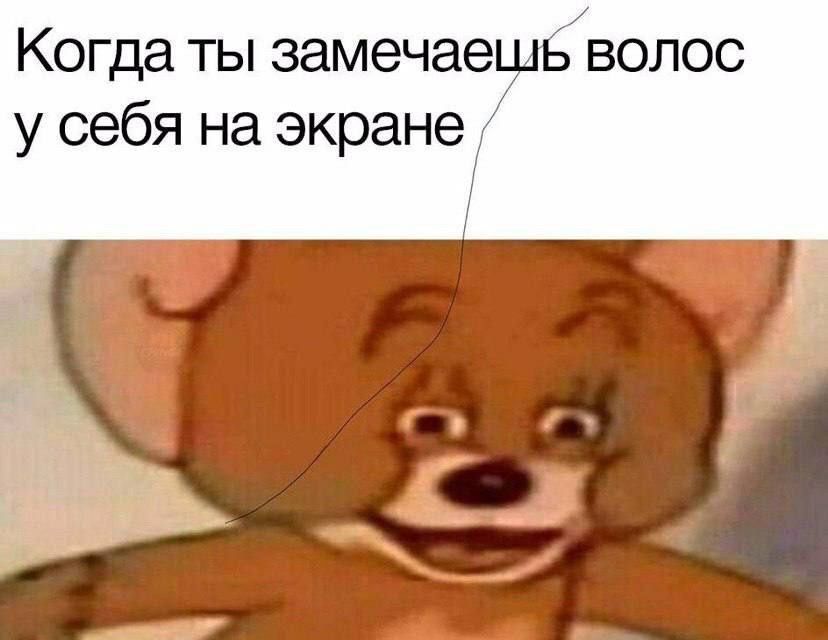 Когда ты замечаешь волос у себя на экране