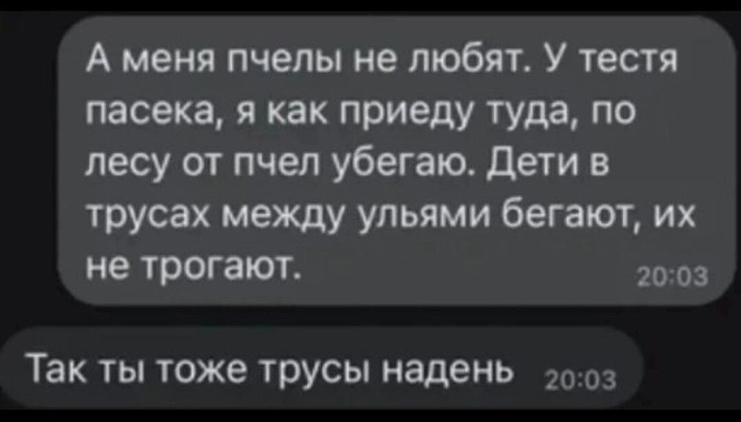 А меня пчелы не любят У тестя пасека я как приеду туда по лесу от пчел убегаю Дети в трусах между ульями бегают их не трогают 2003 Так ты тоже трусы наденьЬ 003