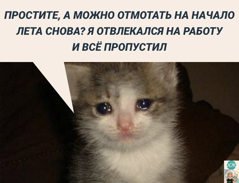 ПРОСТИТЕ А МОЖНО ОТМОТАТЬ НА НАЧАЛО ЛЕТА СНОВА Я ОТВЛЕКАЛСЯ НА РАБОТУ И ВСЁ ПРОПУСТИЛ