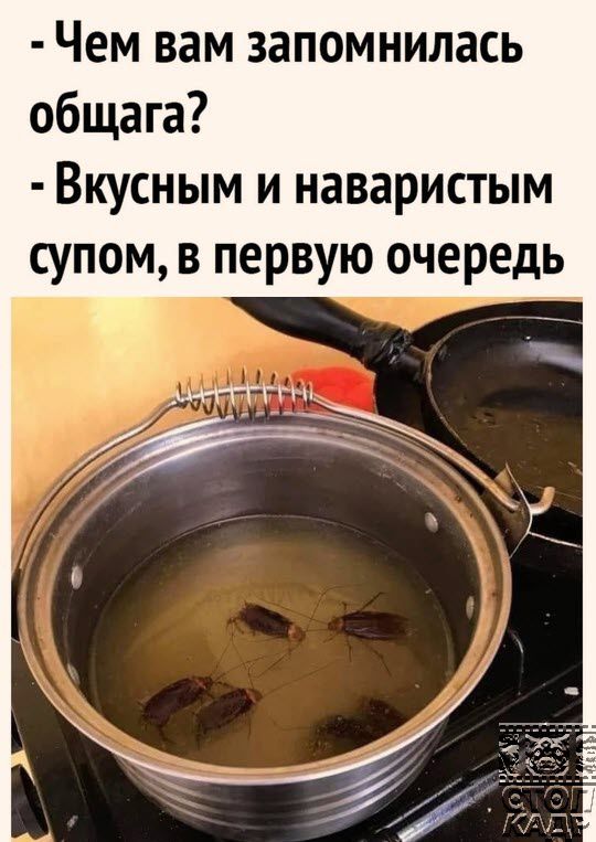 Чем вам запомнилась общага Вкусным и наваристым супом в первую очередь