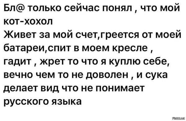 Бл только сейчас понял что мой кот хохолЛ Живет за мой счетгреется от моей батареиспит в моем кресле гадит жрет то что я куплю себе вечно чем то не доволен и сука делает вид что не понимает русского языка