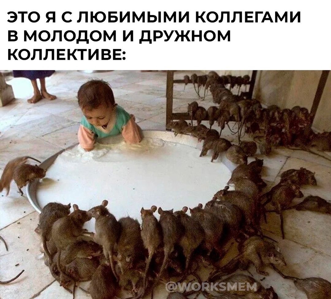 ЭТО Я С ЛЮБИМЫМИ КОЛЛЕГАМИ В МОЛОДОМ И ДРУЖНОМ КОЛЛЕКТИВЕ