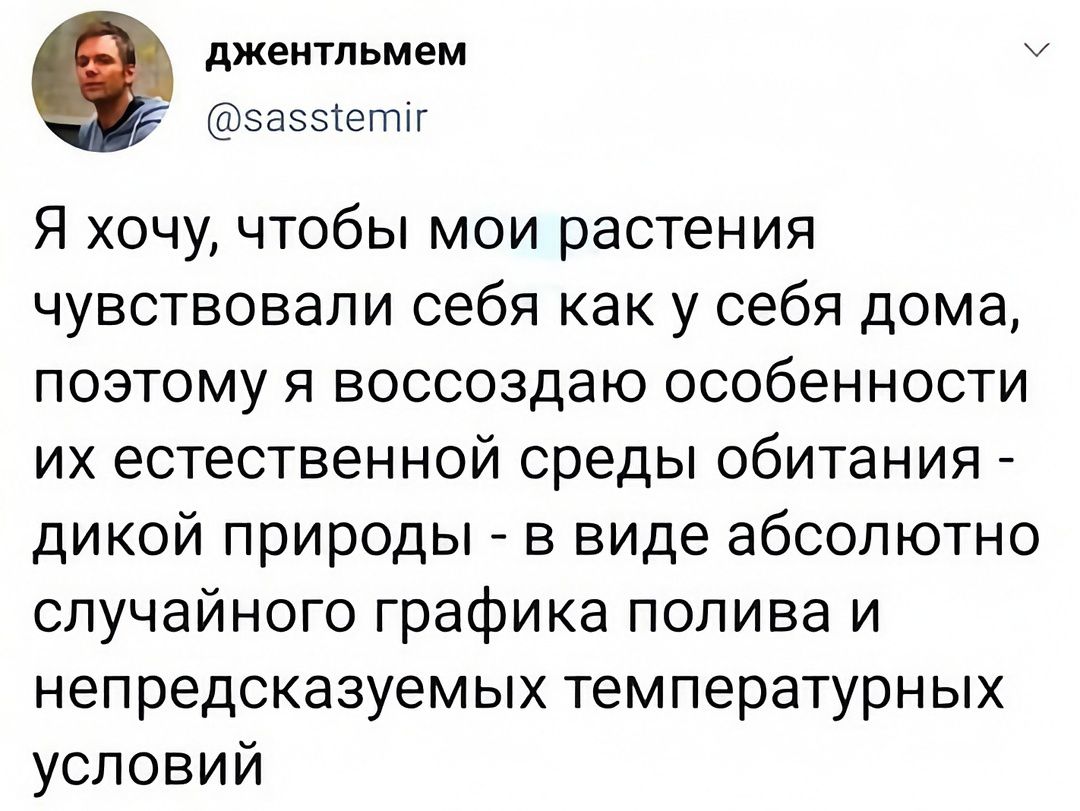 джентльмем У сазсетиг Я хочу чтобы мои растения чувствовали себя как у себя дома поэтому я воссоздаю особенности их естественной среды обитания дикой природы в виде абсолютно случайного графика полива и непредсказуемых температурных условий