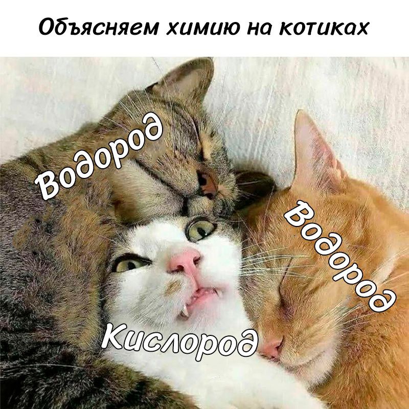 Объясняем химию на котиках