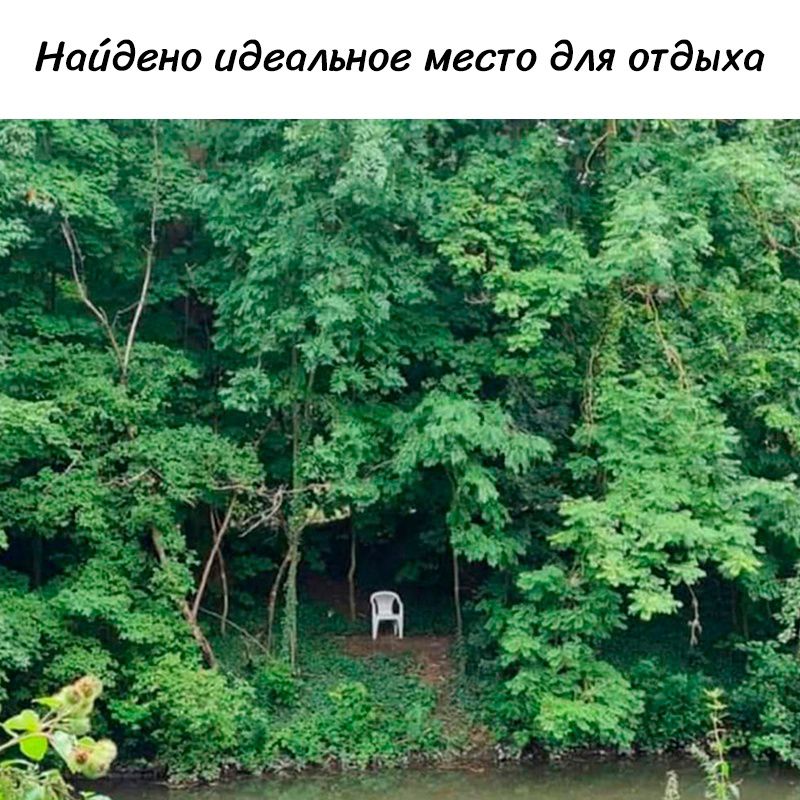 Найдено идеальное место для отдыха