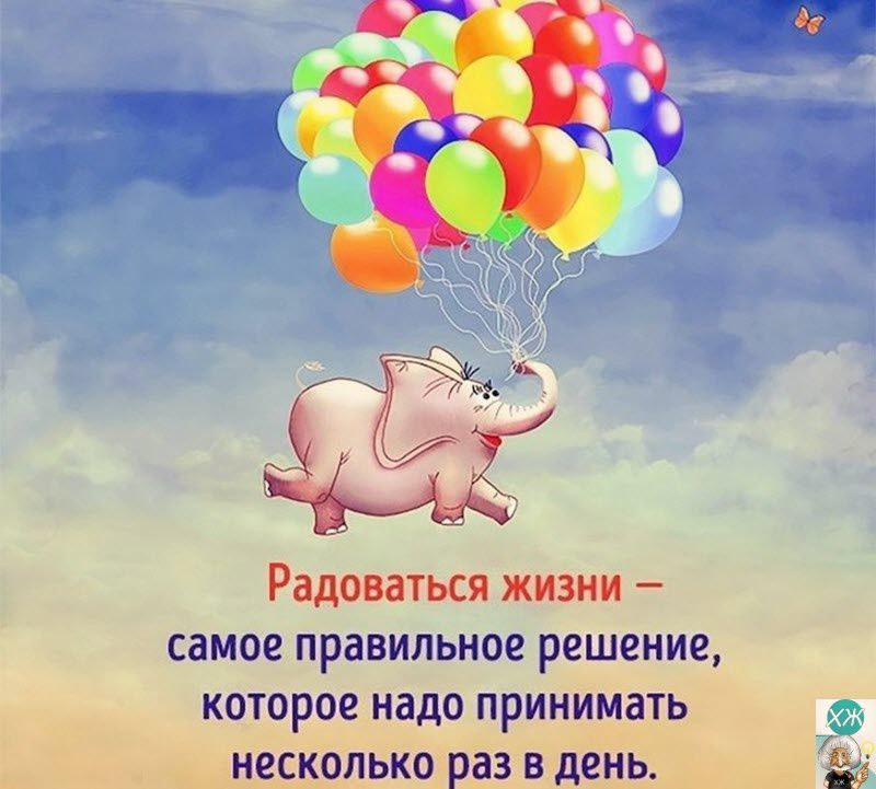 Радоваться жизни самое правильное решение которое надо принимать несколько раз в день