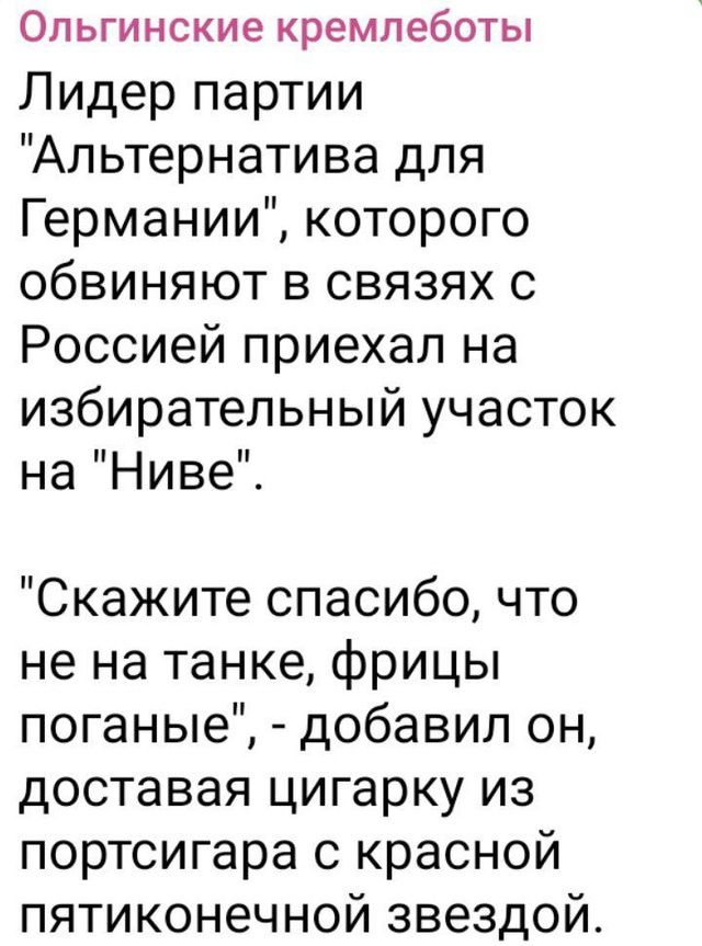 Ольгинские кремпеботы Лидер партии Альтернатива для Германии которого обвиняют в связях с Россией приехал на избирательный участок на Ниве Скажите спасибо что не на танке фрицы поганые добавил он доставая цигарку из портсигара с красной пятиконечной звездой