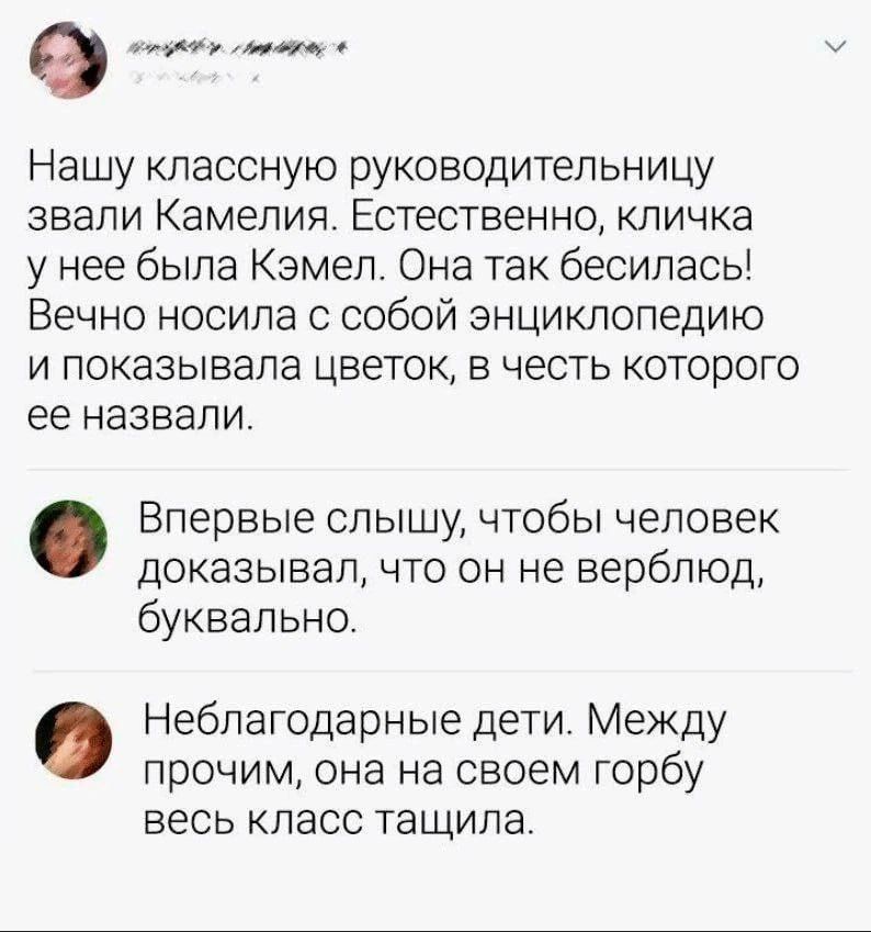 е поцуть слутр в Нашу классную руководительницу звали Камелия Естественно кличка у нее была Кэмел Она так бесилась Вечно носила с собой энциклопедию и показывала цветок в честь которого ее назвали Впервые слышу чтобы человек доказывал что он не верблюд буквально Неблагодарные дети Между прочим она на своем горбу весь класс тащила