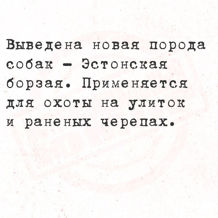 Выведена новая порода собак Эстонская борзая Применяется для охоты на улиток и раненых черецах