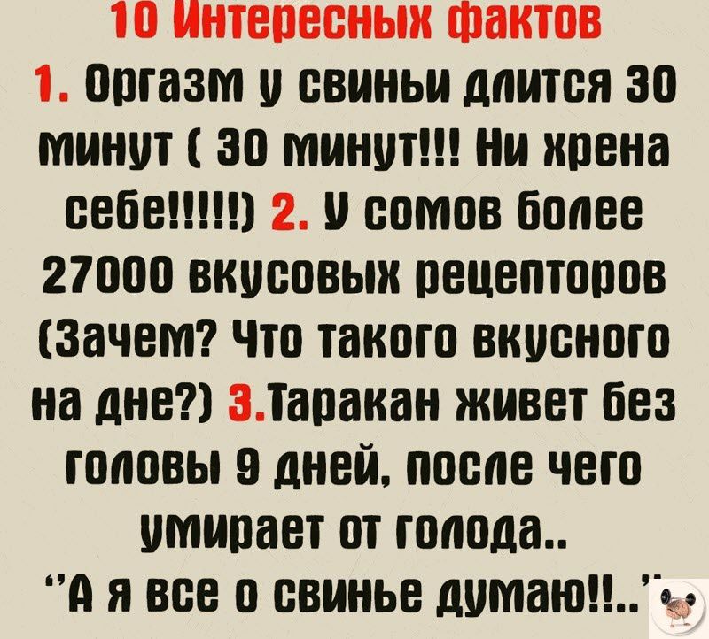 Оргазм у свиньи длится 30 минут 30 минут Ни крена себе 2 сомов более 27000 вкусовых рецепторов Зачем Что такого вкусного на дне 3Таракан живет без головы 9 дней после чего умирает от голода а я все о свинье думаю