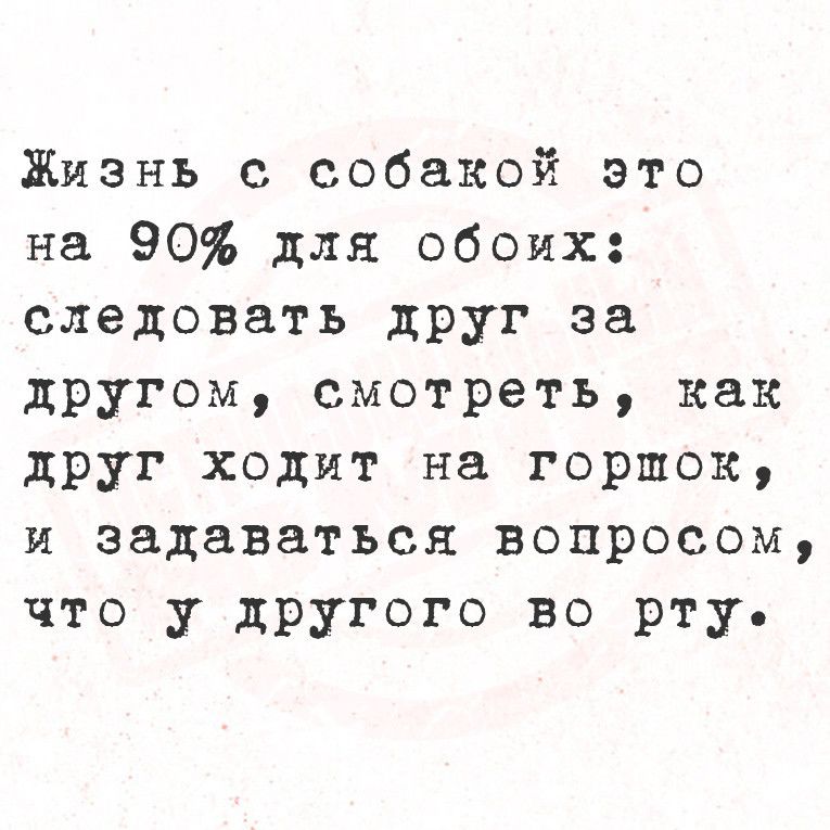 Жизнь с собакой это на 90 для обоих следовать друг за другом смотреть как друг ходит на горшок и задаваться вопросом что у другого во рту