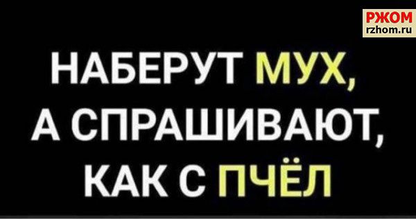 2 НАБЕРУТ МУХ А СПРАШИВАЮТ КАК С ПЧЁЛ