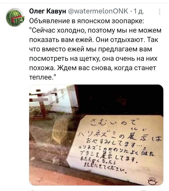 Олег Кавун матеттеопОМК 1 д Объявление в японском зоопарке Сейчас холодно поэтому мы не можем показать вам ежей Они отдыхают Так что вместо ежей мы предлагаем вам посмотреть на щетку она очень на них похожа Ждем вас снова когда станет