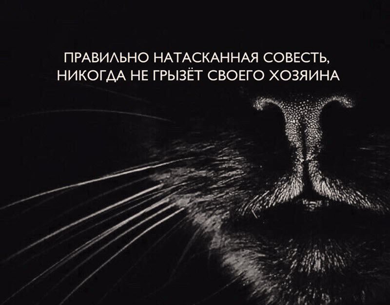 ПРАВИЛЬНО НАТАСКАННАЯ СОВЕСТЬ НИКОГАА НЕ ГРЫЗЁТ СВОЕГО ХОЗЯИНА