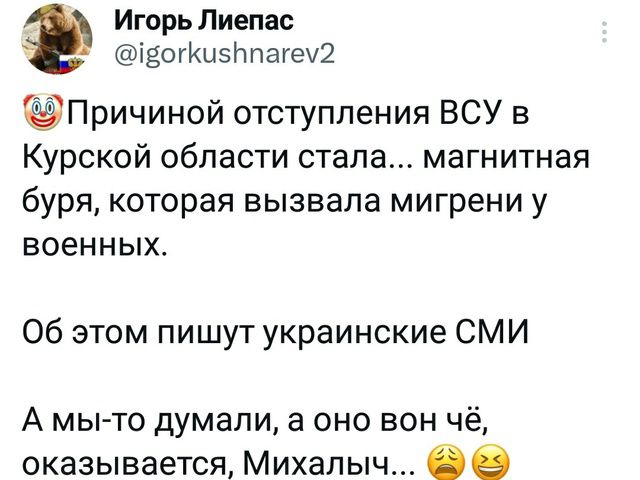 Игорь Лиепас 1вотКи5Ппагеу2 Причиной отступления ВСУ в Курской области стала магнитная буря которая вызвала мигрени у военных Об этом пишут украинские СМИ А мы то думали а оно вон чё оказывается Михальыч