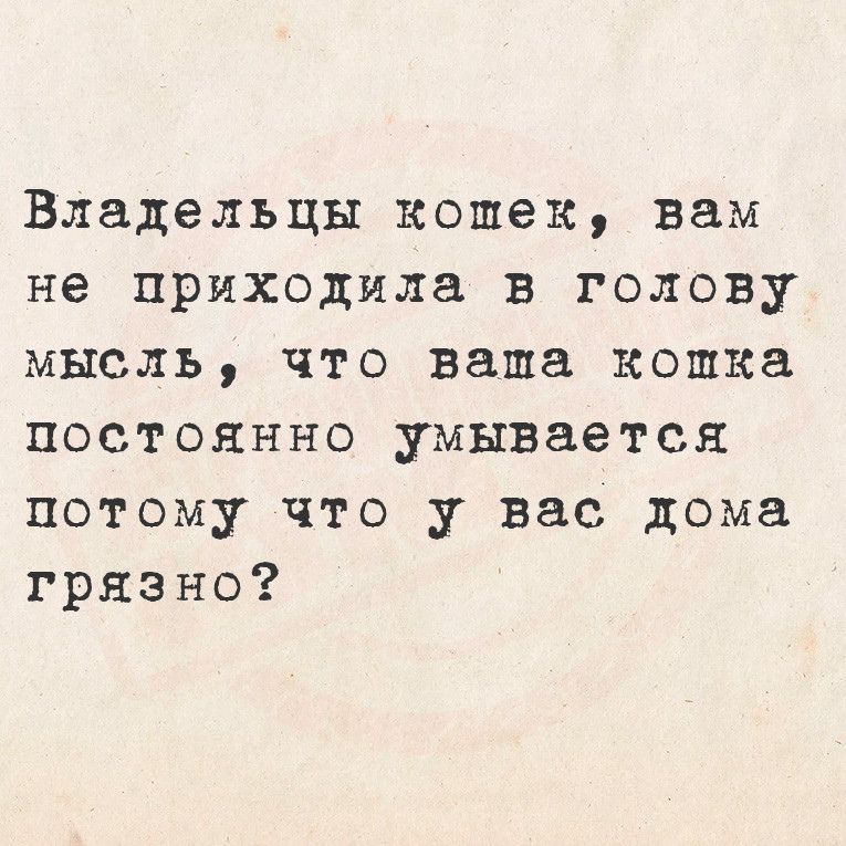 Владельцы кошек вам не приходила в голову мысль что ваша кошка постоянно умывается потому что у вас дома грязно