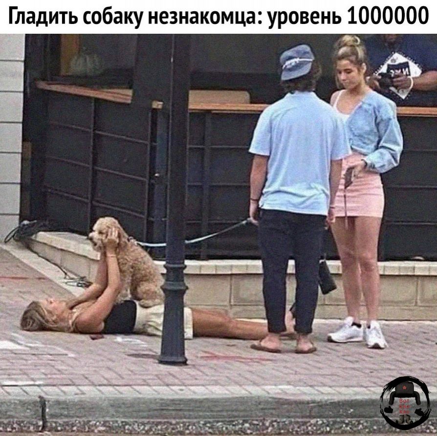 Гладить собаку незнакомца уровень 1000000