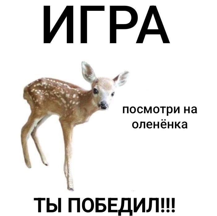 ТЫ ПОБЕДИЛ