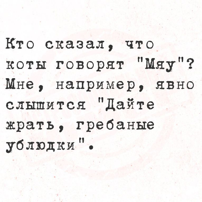 Кто сказал что коты говорят Мяу Мне например явно слышится Дайте жрать гребаные ублюдки