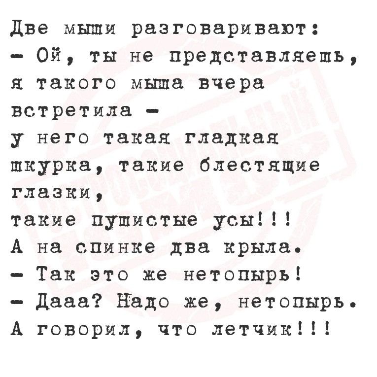 Две мыши разговаривают Ой ты не представляешь я такого мыша вчера встретила у него такая гладкая шкурка такие блестящие глазки такие пушистые усы А на спинке два крыла Так это же нетопырь Дааа Надо же нетопырь А говорил что летчик