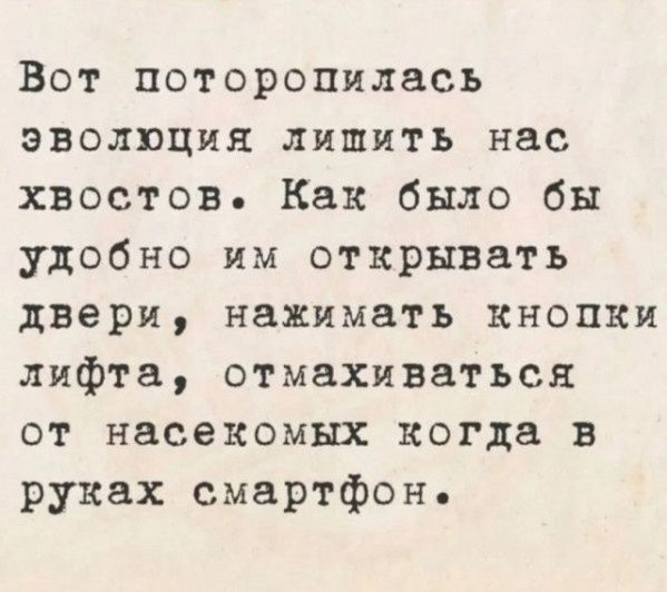 Вот поторопилась эволюция лишить нас хвостов Как было бы удобно им открывать двери нажимать кнопки лифта отмахиваться от насекомых когда в руках смартфон