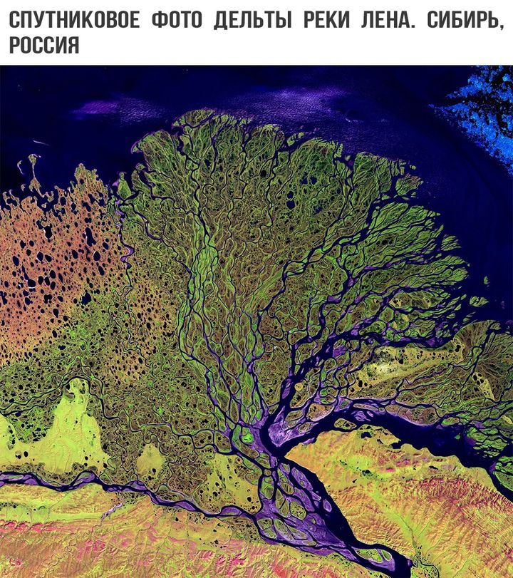 СПУТНИКОВОЕ ФОТО ДЕЛЬТЫ РЕКИ ЛЕНА СИБИРЬ РОССИЯ Е е щ а3