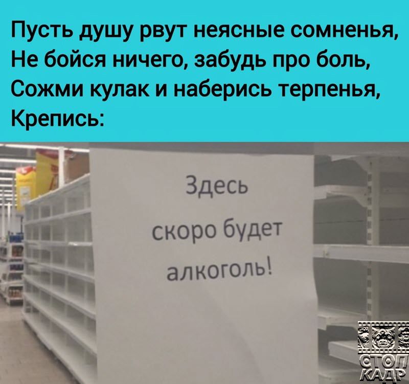 Пусть душу рвут неясные сомненья Не бойся ничего забудь про боль Сожми кулак и наберись терпенья Крепись