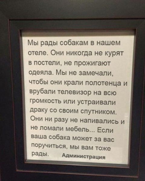 Мы рады собакам в нашем отеле Они никогда не курят в постели не прожигают одеяла Мы не замечали чтобы они крали полотенца и врубали телевизор на всю громкость или устраивали драку со своим спутником Они ни разу не напивались и не ломали мебель Если ваша собака может за вас поручиться мы вам тоже рады Администрация