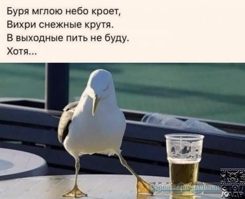 Буря мглою небо кроет Вихри снежные крутя В выходные пить не буду Хотя