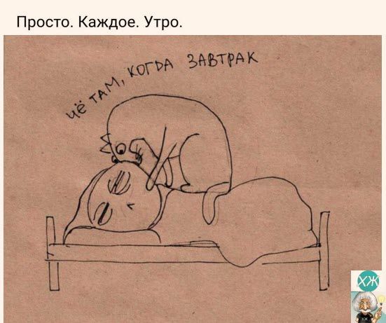 Просто Каждое Утро