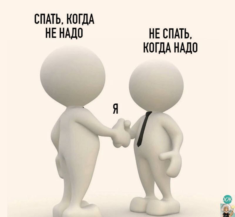 СПАТЬ КОГДА НЕ НАДО НЕ СПАТЬ КОГДА НАДО