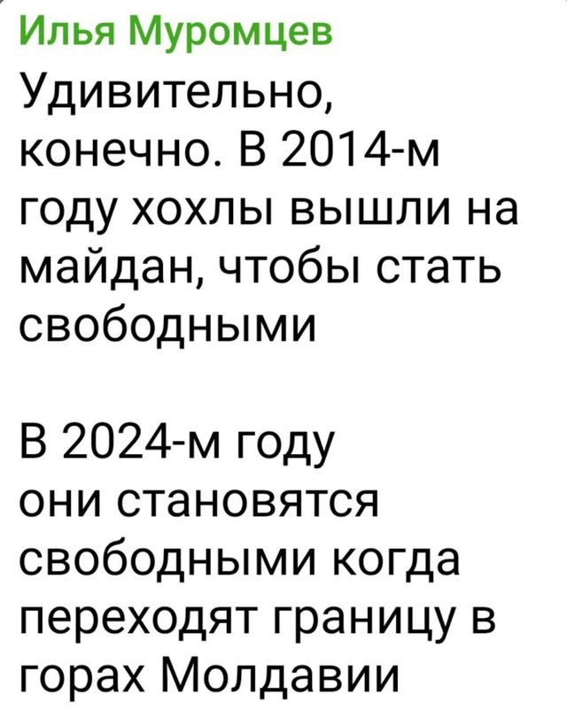 Илья Муромцев Удивительно конечно В 201 4 м году хохлы вышли на майдан чтобы стать свободными В 2024 м году они становятся свободными когда переходят границу в горах Молдавии