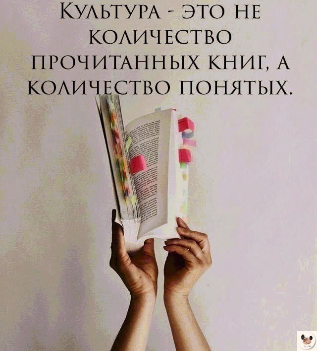 КУЛЬТУРА ЭТО НЕ КОЛИЧЕСТВО ПРОЧИТАННЫХ КНИГ А КОЛИЧЕСТВО ПОНЯТЫХ