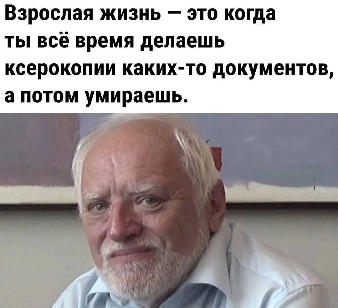 Взрослая жизнь это когда ты всё время делаешь ксерокопии каких то документов а потом умираешь