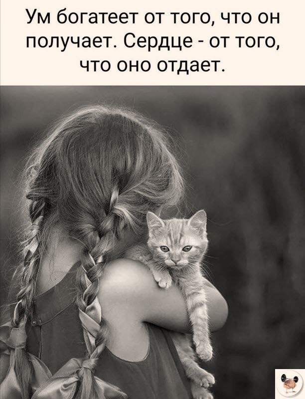 Ум богатеет от того что он получает Сердце от того что оно отдает