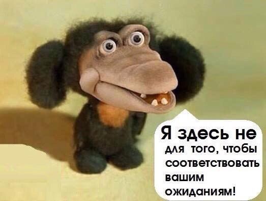 Я здесь не для того чтобы соответствовать вашим ожиданиям