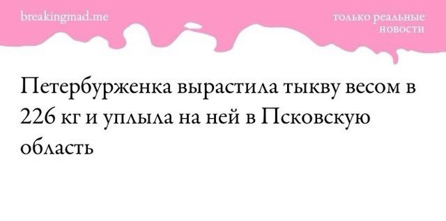 ааоа Петербурженка вырастила тыкву весом в 226 кг и уплыла на ней в Псковскую область