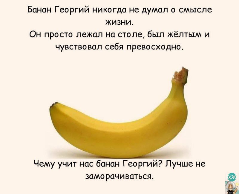 Банан Георгий никогда не думал о смысле жизни Он просто лежал на столе был жёлтым и чувствовал себя превосходно Чему учит нас банан Георгий Лучше не заморачиваться