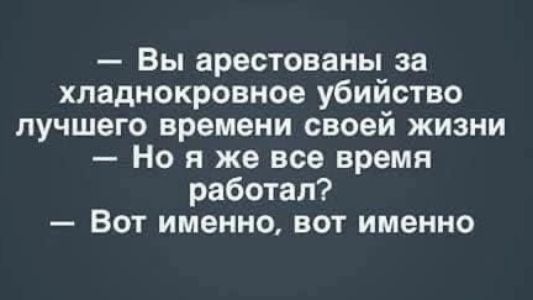 Вы арестованы за хладнокровное убийство лучшего времени своей жизни Но я же все время работал Вот именно вот именно