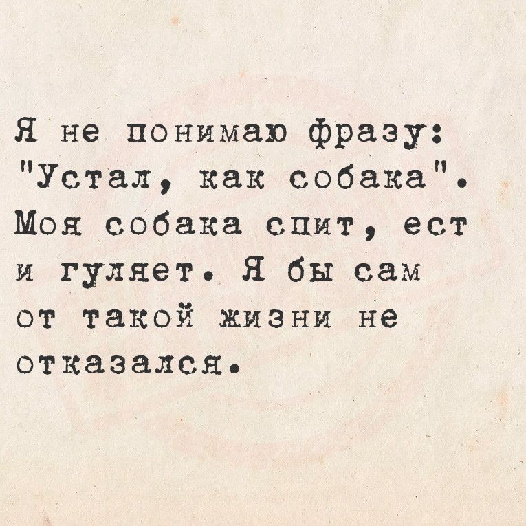 Я не понимаю фразу Устал какх собака Моя собака спит ест и гуляет Я бы сам от такой жизни не отказался